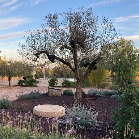 Habitacion Suite En Masia Can Robira Els Hostalets de Pierola Εξωτερικό φωτογραφία