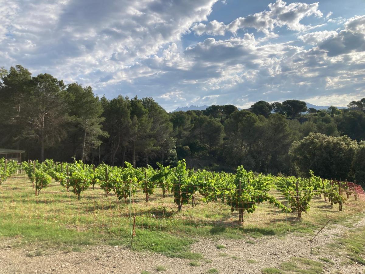 Habitacion Suite En Masia Can Robira Els Hostalets de Pierola Εξωτερικό φωτογραφία